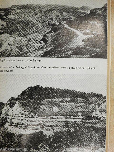 Az első ötvenmillió év