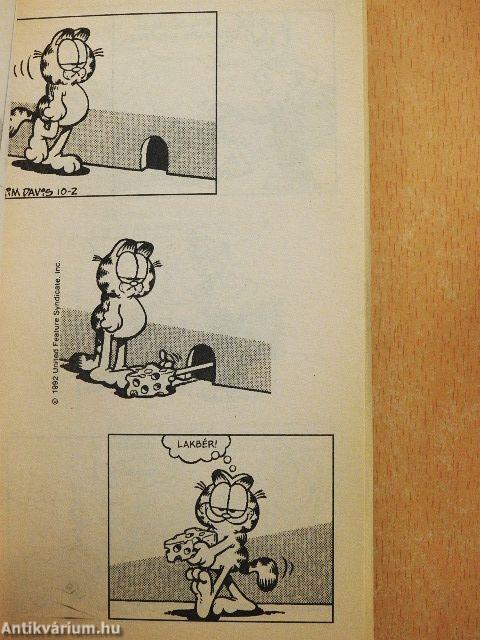 Elkészülni, vigyázz, hamm!