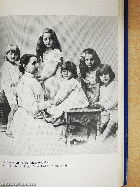 Rendszertelen önéletrajz