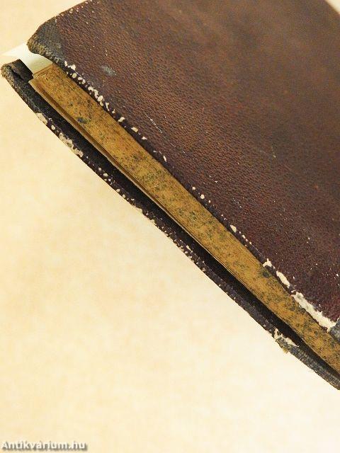 Betrachtungen über das Leiden Christi (gótbetűs)