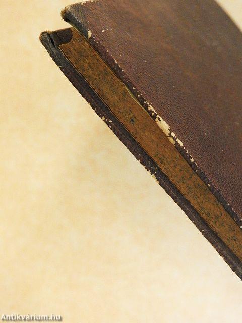 Betrachtungen über das Leiden Christi (gótbetűs)