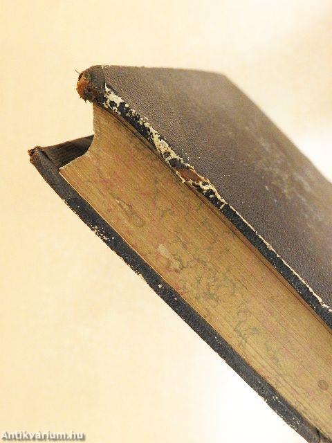 Zweihundertachtzig interessante Zeit- und Sittenbilder (gótbetűs)