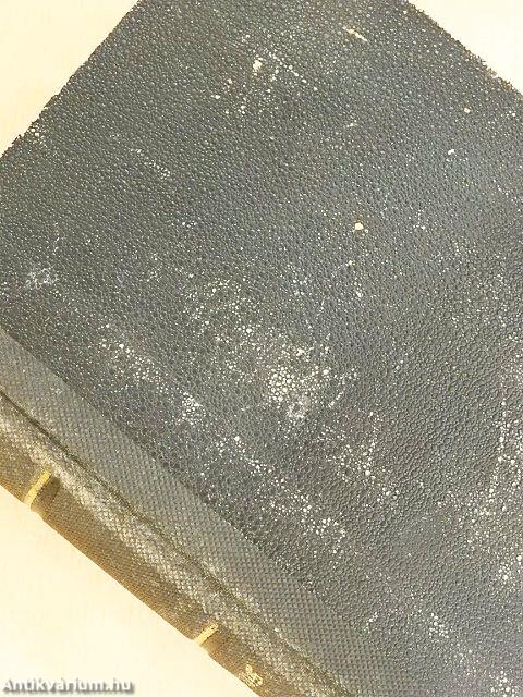 Zweihundertachtzig interessante Zeit- und Sittenbilder (gótbetűs)