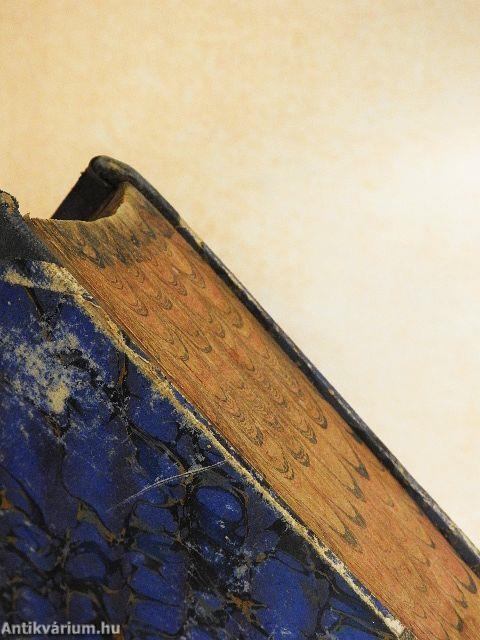 Der Stefans-Dom und seine Diener, nach der Zeitgeschichte (gótbetűs)