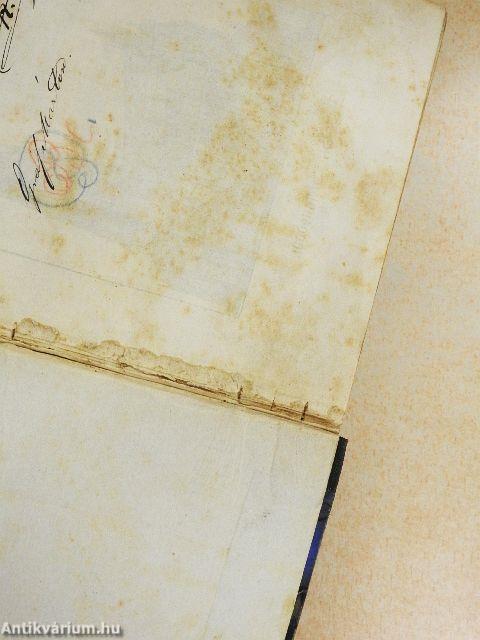 Der Stefans-Dom und seine Diener, nach der Zeitgeschichte (gótbetűs)