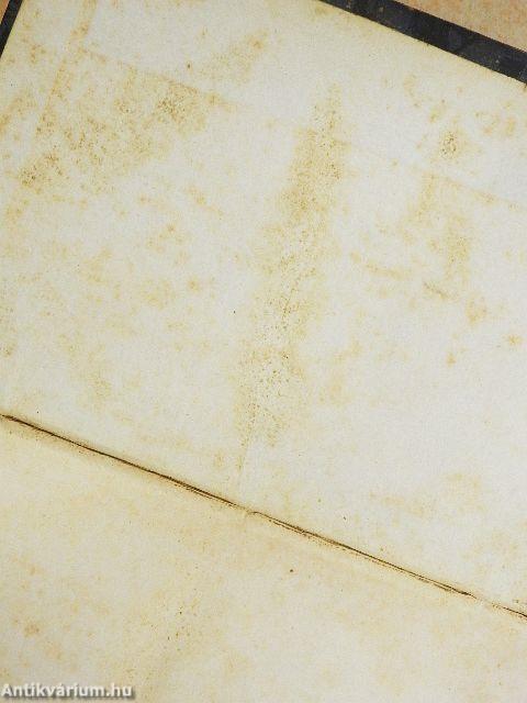 Der Stefans-Dom und seine Diener, nach der Zeitgeschichte (gótbetűs)