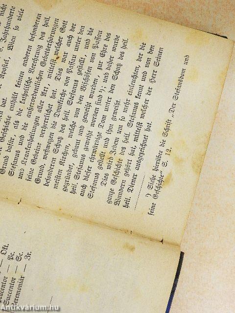 Der Stefans-Dom und seine Diener, nach der Zeitgeschichte (gótbetűs)