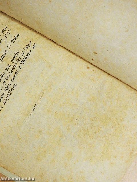 Der Stefans-Dom und seine Diener, nach der Zeitgeschichte (gótbetűs)