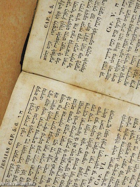 Biblia Hebraica II. (töredék)