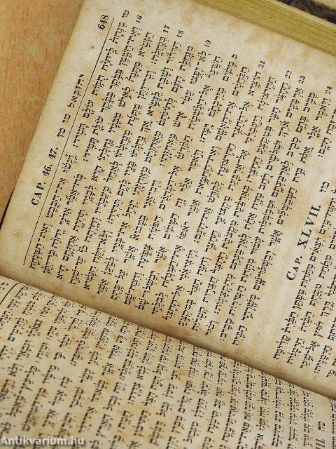 Biblia Hebraica II. (töredék)