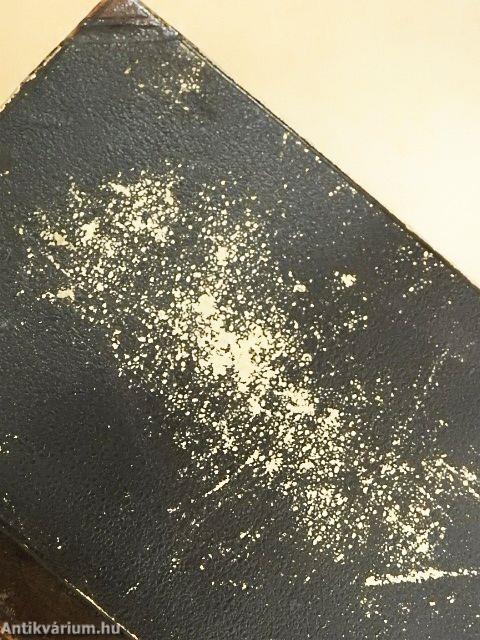 Ecce Homo (gótbetűs)