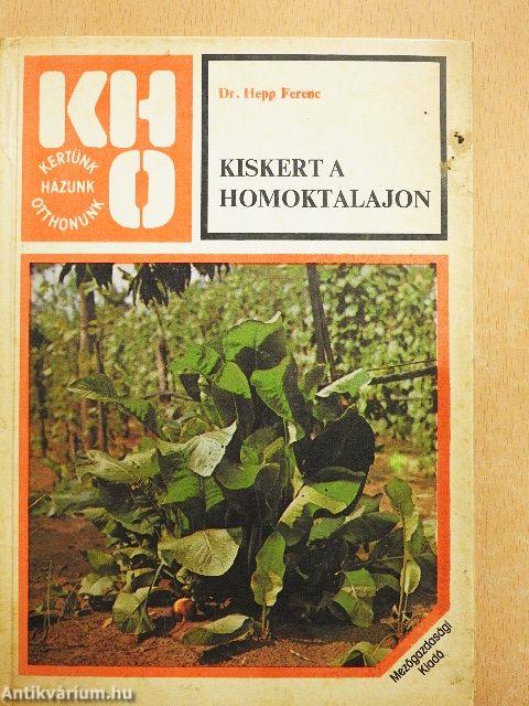 Kiskert a homoktalajon