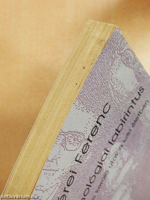 A pszichológiai labirintus