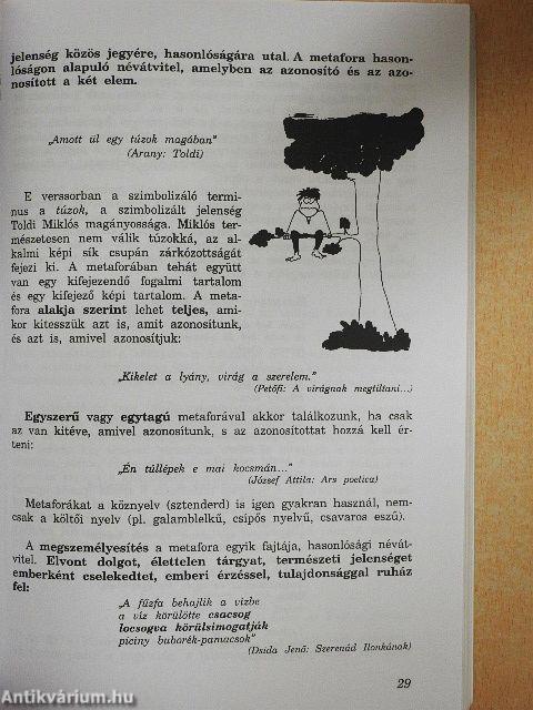 Magyar nyelv 11.
