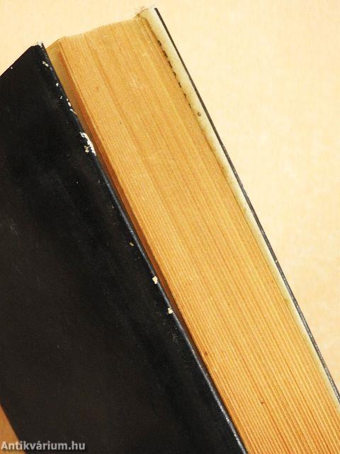 Októberi vihar/Vihar után