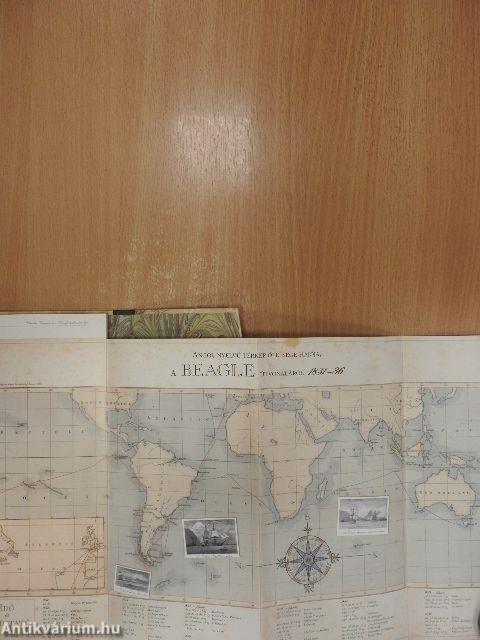 Charles Darwin és a Beagle kalandos útja