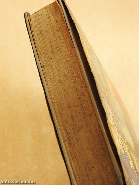 Egyszer-volt szerelem