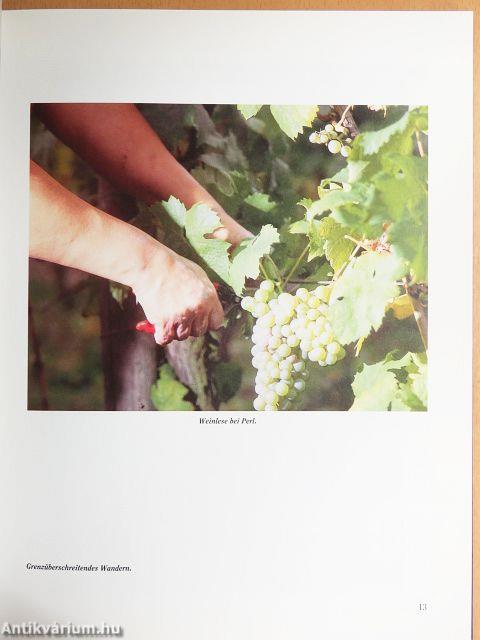 Rund um die Saarschleife