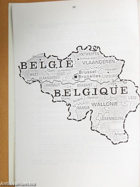 "Bestandsaufnahme der Ländlichen raüme der Europaischen Gemeinschaft: Die Gegenüberstellung der Nationalen Gegebenheiten mit der Politik der Gemeinschaft."