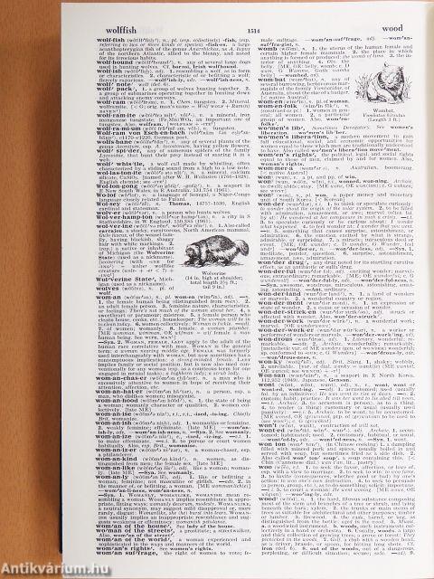 The Random House College Dictionary