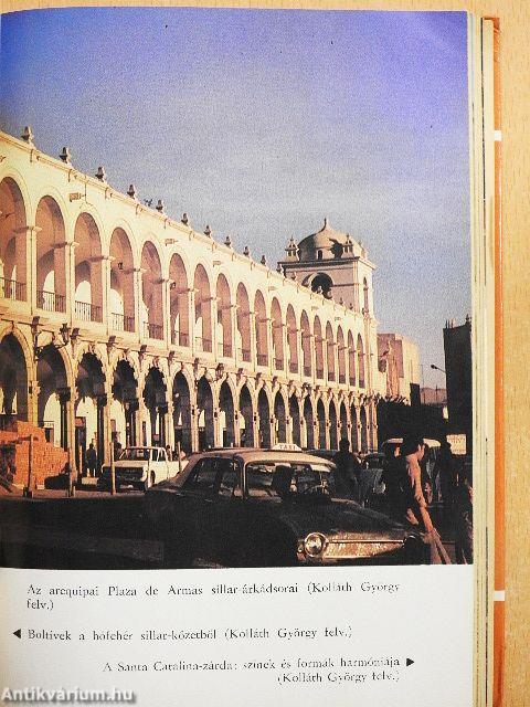 Az aranyrög tetején üldögélő koldus