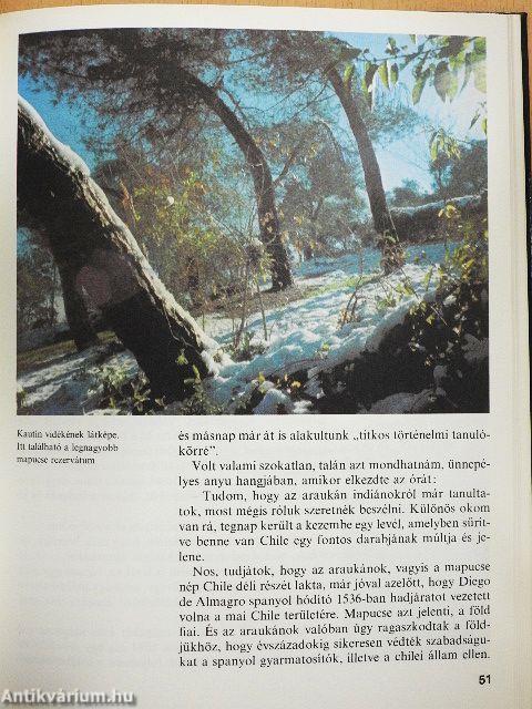 Szökés az Andokon át