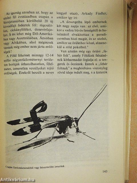 Ember és állat 1-2.