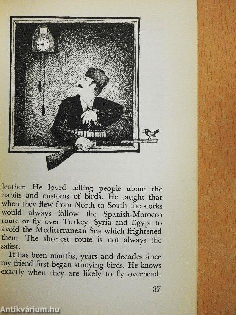 Tales Told by a Machine