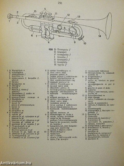 Terminorum musicae index septem linguis redactus