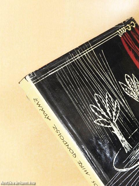 Mire gondolsz Ádám?