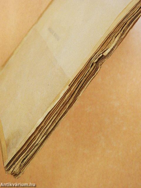 Gracchusok anyja (rossz állapotú)