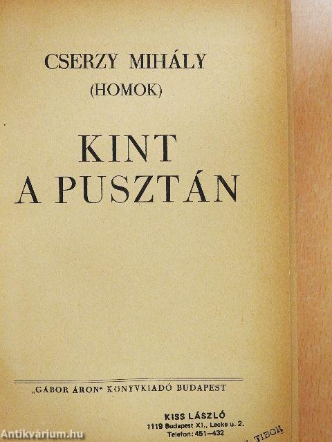 Kint a pusztán (rossz állapotú)