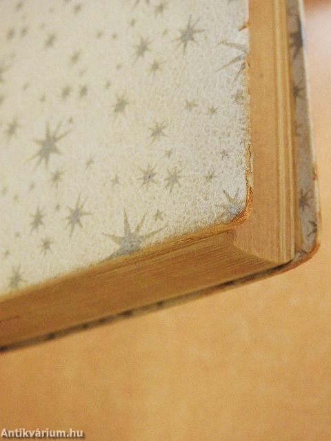 Kint a pusztán (rossz állapotú)