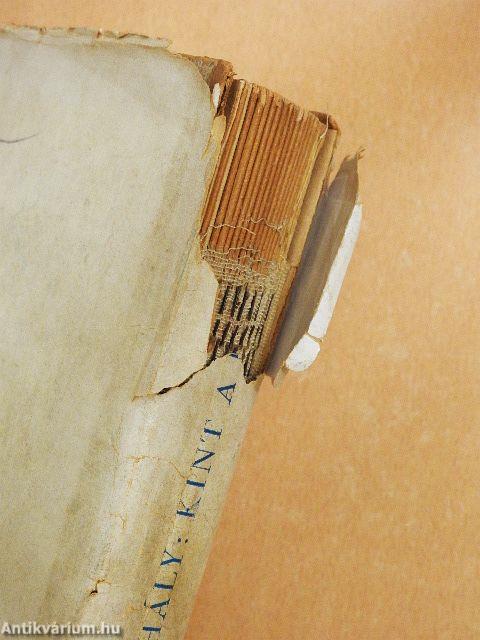 Kint a pusztán (rossz állapotú)