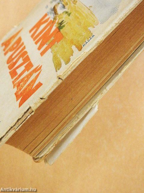 Kint a pusztán (rossz állapotú)