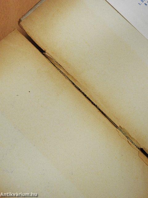 Kint a pusztán (rossz állapotú)