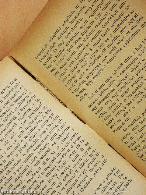 Kint a pusztán (rossz állapotú)