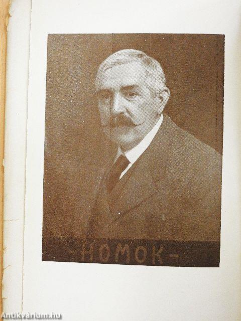 Kint a pusztán (rossz állapotú)