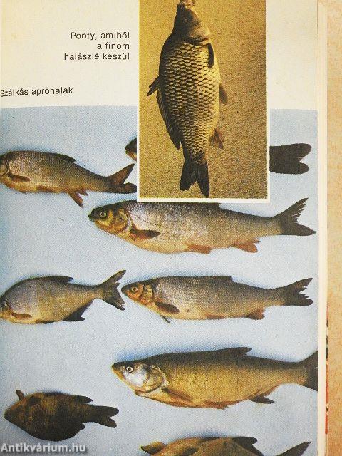 Vadhús- és halételek