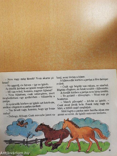 Szivárvány 2000. május