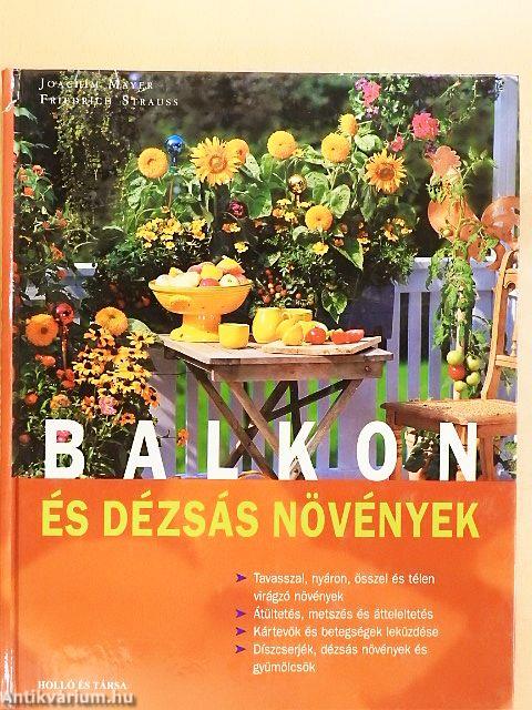 Balkon- és dézsás növények
