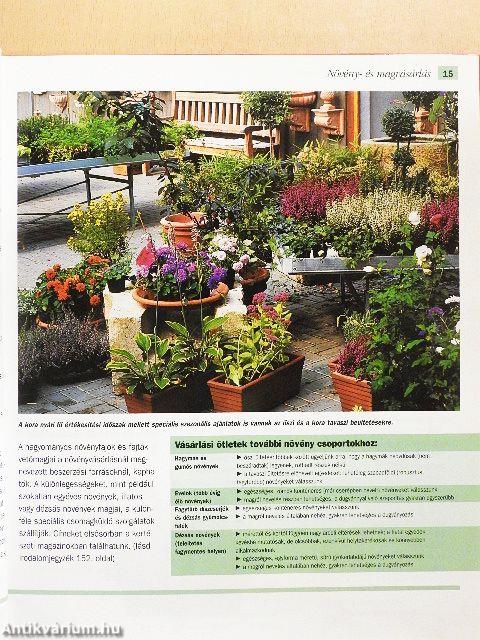 Balkon- és dézsás növények