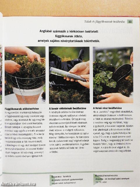 Balkon- és dézsás növények