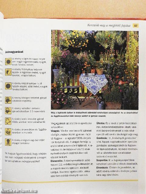 Balkon- és dézsás növények