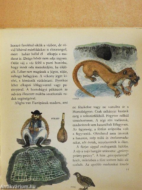 Amiről a puszta mesél