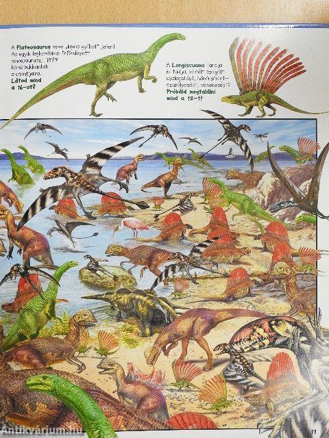 Keresd meg a dinoszauruszokat!