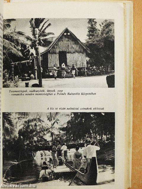 Hozzál nekem kengurut