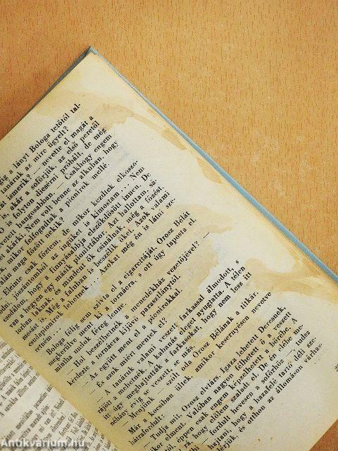 Ácsék tábort vernek