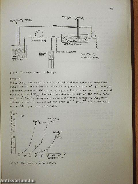 The Intrauterine Life