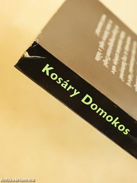 Széchenyi Döblingben